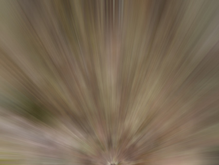 Abstract radial lines background.の写真素材