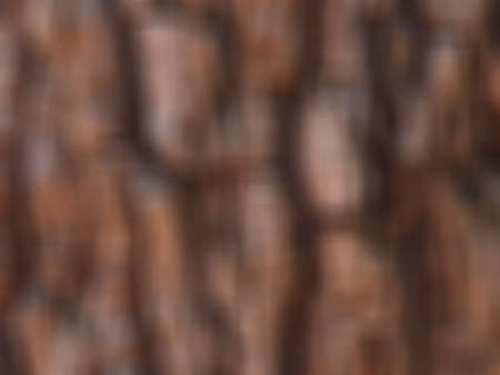Abstract blur color background.の写真素材
