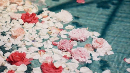 Pink and white rose petals floating in a pool. Selective focus.の写真素材