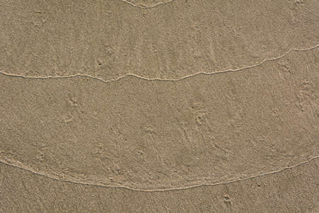sand backgroundsの写真素材
