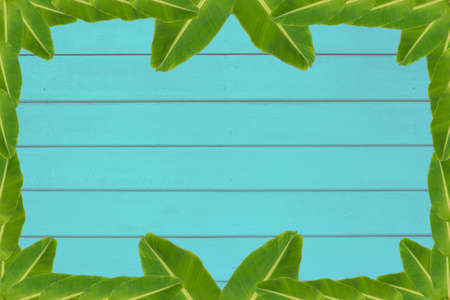 Art banana leaf backgroundの写真素材
