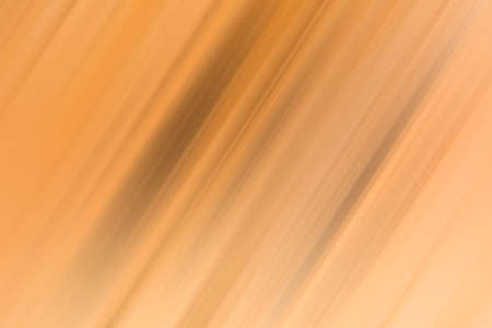 The background of tree bark.の写真素材