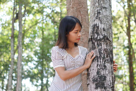 Asian women explore trees, love the world conceptの写真素材