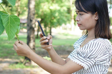 Asian women use smartphones to take pictures of trees, the concept of love for the world.の写真素材