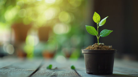 Small plant in pot shaped like growing graphの素材