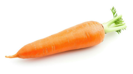Carrot on isolated white background.の素材