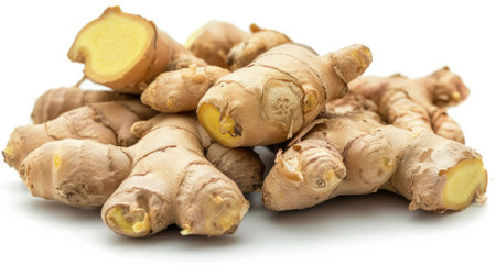 Ginger on isolated white background. --ar 16:9 --v 6 Job ID: 4b67f3d5-061a-449b-93e9-3ca5ee60f9dfの素材