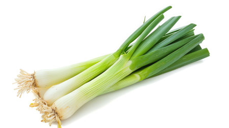 Leek on isolated white background.の素材