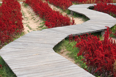 Old wooden walkway for looking at the flower gardenの写真素材