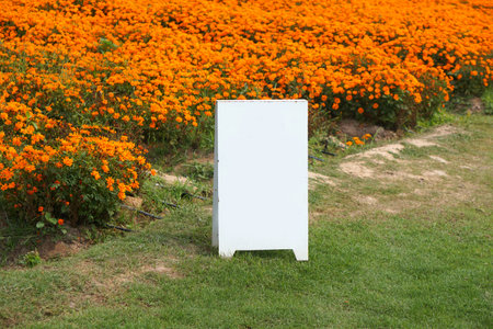 White sign next to the flower bed in the gardenの写真素材