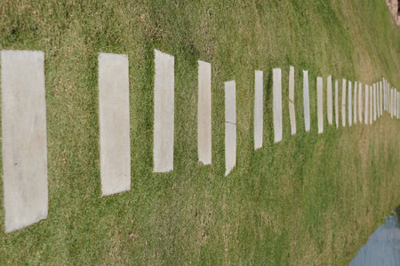 Walkway in the park on green grassの写真素材