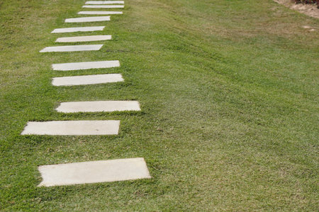 Walkway in the park on green grassの写真素材