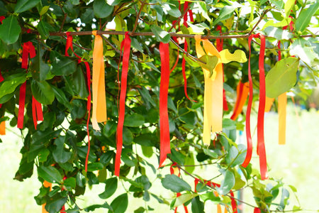 Multi-colored ribbons tied on the treeの写真素材