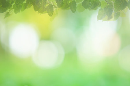 Blur circle bokeh green leaf background. Blurry yellow leaves rays light flare nature backdrop.の写真素材