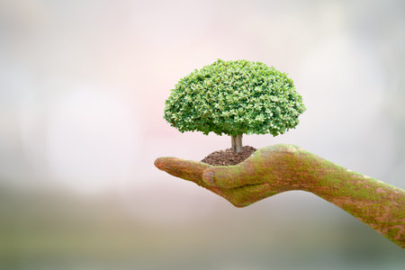 We love the world of ideas. small tree nature blur background.World environment day.