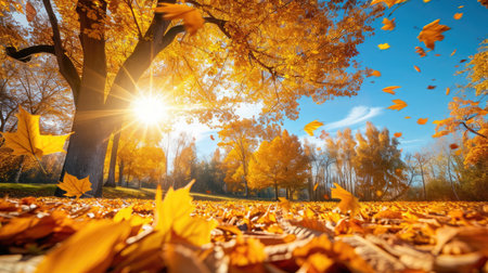 Beautiful autumn landscape with yellow trees and sun. Colorful foliage in the park. Falling leaves natural backgroundの素材