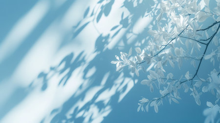 Minimalistic abstract gentle light blue background for product presentation with light and intricate shadow from tree branches on wall.の素材