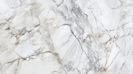white background marble wall texture --ar 16:9 --v 6 Job ID: ba508ce5-ba6c-4393-a0ac-024592c119c0の素材