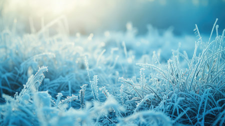 Frosty nature background. Winter landscape with frozen grass in blue toned.の素材