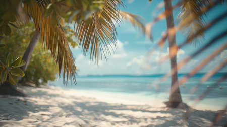 Summer exotic sandy beach with blur palms and sea on backgroundの素材