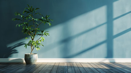 blue wall empty room with green plant in vaseの素材