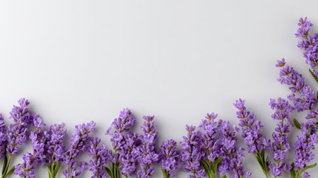 A stunning arrangement of fresh lavender flowers on a soft light background, perfect for enhancing any design project with a touch of natureの素材