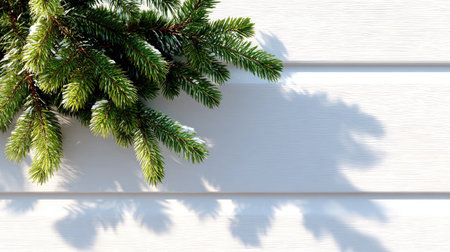 A vibrant green pine branch rests against a white wooden background, casting delicate shadows. This image captures the beauty of nature and tranquility.の素材