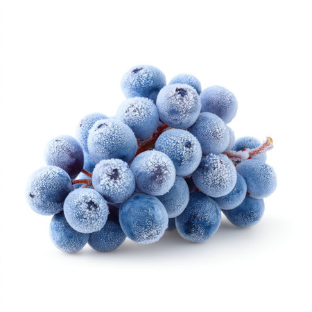 A captivating image of frosted blue grapes dusted with a delicate layer of ice, perfect for representing healthful eating or seasonal freshness.の素材