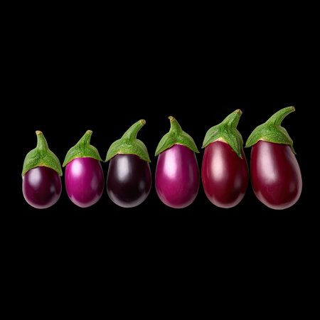 This image showcases a variety of fresh eggplants displayed on a black background, highlighting their unique sizes and rich colors, perfect for culinary inspiration.の素材