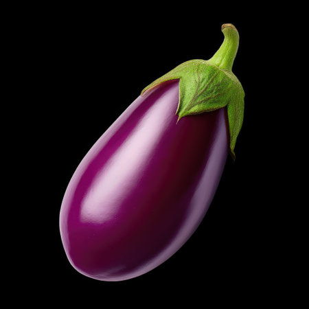 A beautifully captured eggplant with a glossy finish stands out against a black background, ideal for culinary, health, and lifestyle imagery.の素材