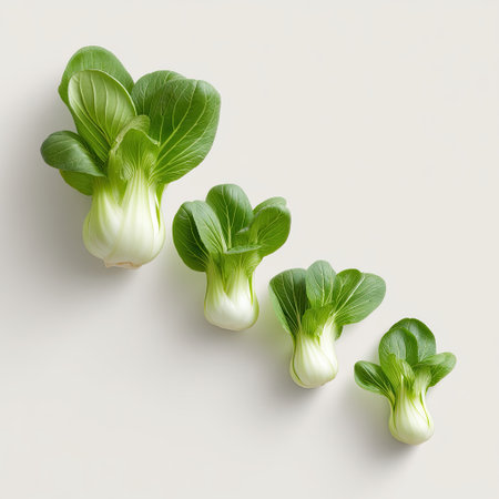 This image features fresh bok choy arranged in various sizes, highlighting its vibrant green leaves and crisp texture. Perfect for cooking and healthy meals.の素材