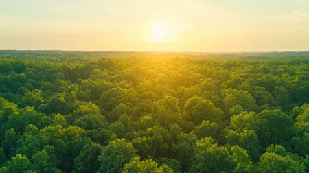 Adorable animals and charming flora in radiant midday light from above, exploring with joy and warmth, Full-body portrait, endearing creatures, cuddly pets, precious critters, lovely fauna.の素材