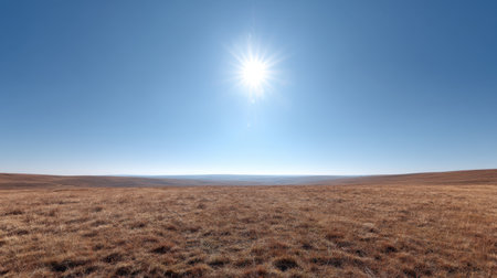 A stunning view of an open meadow basking in bright sunlight under a crisp blue sky, showcasing the serene beauty of untouched nature and expansive landscapes.の素材
