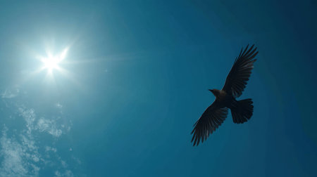 A striking image of a bird gracefully flying against a backdrop of a bright blue sky and a radiant sun, capturing the essence of freedom and beauty in nature.の素材