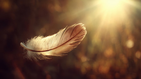 A stunning close-up of a delicate feather gracefully floating in the air, bathed in warm sunlight, evoking feelings of peace and tranquility in a natural setting.の素材