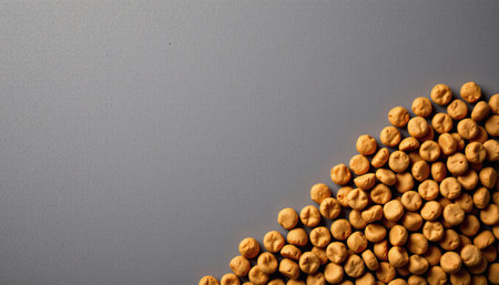 A beautiful arrangement of raw and dried chickpeas on a smooth gray surface, showcasing their texture and color. Ideal for culinary and health-focused themes.の素材