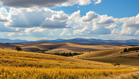 A stunning view of rolling hills bathed in warm sunlight, showcasing a vibrant landscape dotted with fluffy clouds in a bright blue sky.の素材