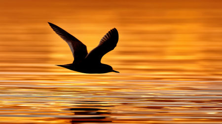 A beautiful silhouette of a bird soaring across tranquil water at sunset, with shimmering reflections in vibrant gold and orange tones, capturing a moment of natural beauty.の素材