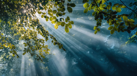 This captivating image captures the beauty of sunlight filtering through leaves in a tranquil forest, casting soft rays that illuminate the serene atmosphere.の素材