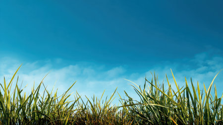 A stunning view of lush green grass against a vibrant blue sky dotted with fluffy clouds, perfect for conveying peace and tranquility in nature settings.の素材