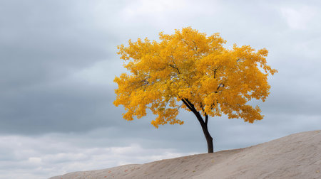 A stunning yellow autumn tree stands alone on sandy terrain, contrasting with a dramatic cloudy sky. This serene landscape captures the beauty of nature's changing seasons.の素材