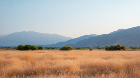 A serene rural field with golden grass stretches across landscape, framed by distant mountains under clear sky. peaceful scene evokes sense of tranquility and natural beautyの素材