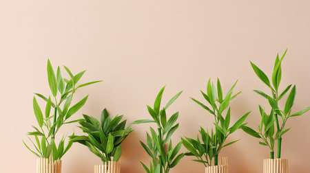 This image showcases a collection of lush green bamboo plants in stylish wooden pots, set against a soft pink wall, perfect for brightening up any interior space.の素材