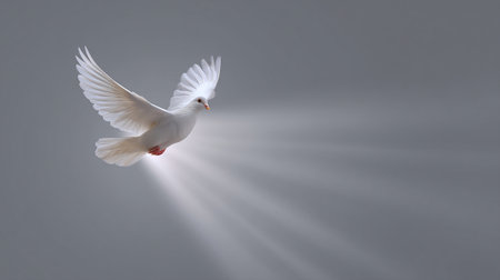 A white dove hovering gracefully in radiant light beam, symbolizing peace and purity, evokes sense of tranquility and hope. its wings are spread wide, capturing essence of freedomの素材