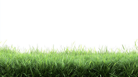 A vibrant image of fresh green grass against a clean white background, perfect for nature projects, presentations, and creative designs.の素材