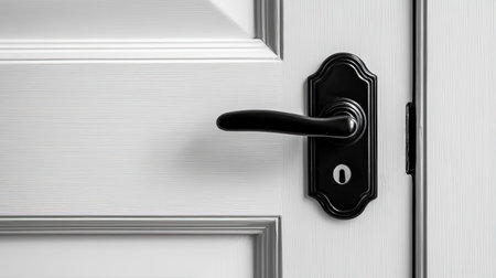 A close-up image of an elegant black door handle on a modern white door, emphasizing the stylish design and intricate details that enhance any interior space.の素材