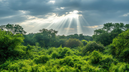 A breathtaking view of a lush green landscape bathed in sunlight. The playful rays penetrate through the clouds, creating a serene and tranquil atmosphere. Ideal for nature lovers.の素材