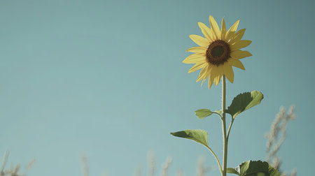 A striking sunflower stands tall against a clear blue sky, capturing the essence of summer with its vibrant yellow petals and fresh green leaves in a tranquil setting.の素材