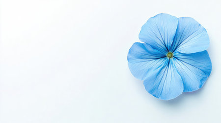 A stunning blue flower delicately placed on a white background, showcasing its intricate petal details and vibrant hue. Ideal for nature-inspired themes.の素材