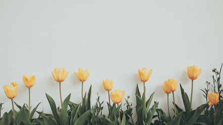 A vibrant arrangement of bright yellow tulips against a plain background, showcasing the freshness of spring and the beauty of nature in a simple yet elegant composition.の素材